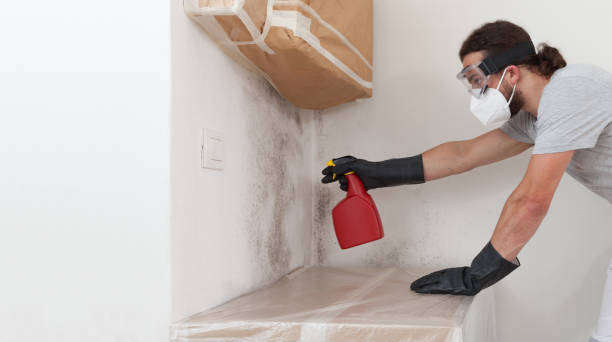 Attic Mold Remediation treatment on roof deck in Rockford